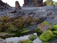 Tümpel in Ufernähe bei Ebbe bei Djupalónssandur - Snaefellsnes Halbinsel